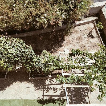 Golden Star Hotel Agia Marina  Bagian luar foto