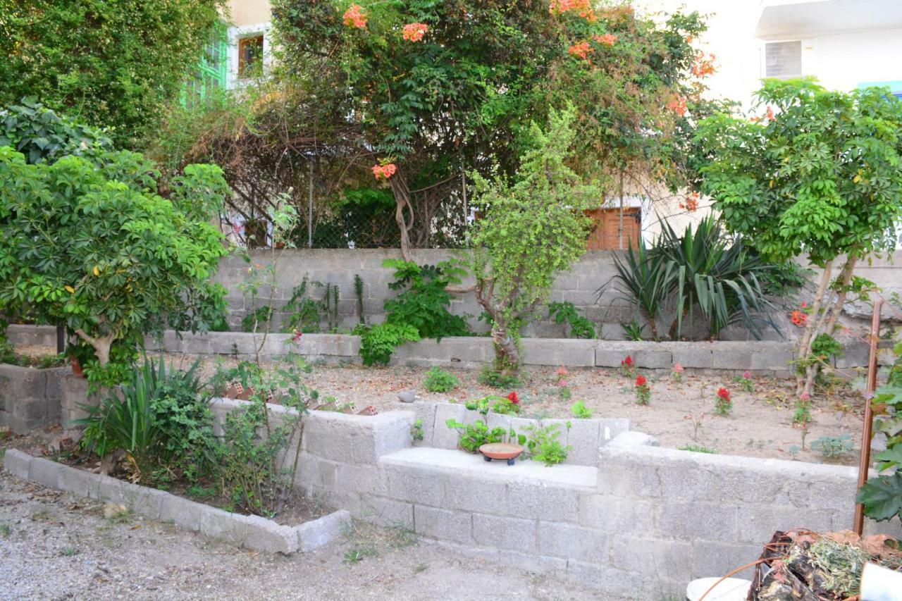 Golden Star Hotel Agia Marina  Bagian luar foto